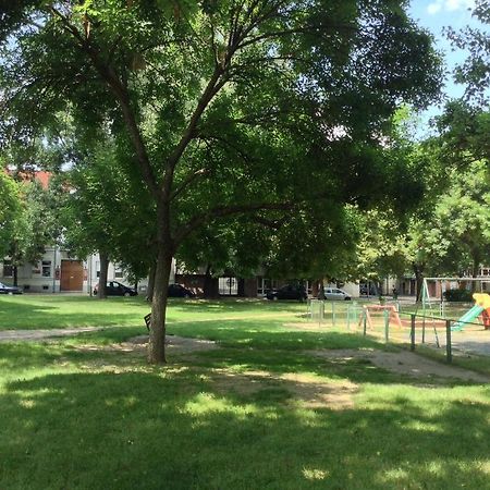 Romzsa Todor Kollegium Hostel Szeged Ngoại thất bức ảnh