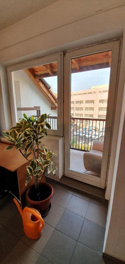 Romzsa Todor Kollegium Hostel Szeged Ngoại thất bức ảnh