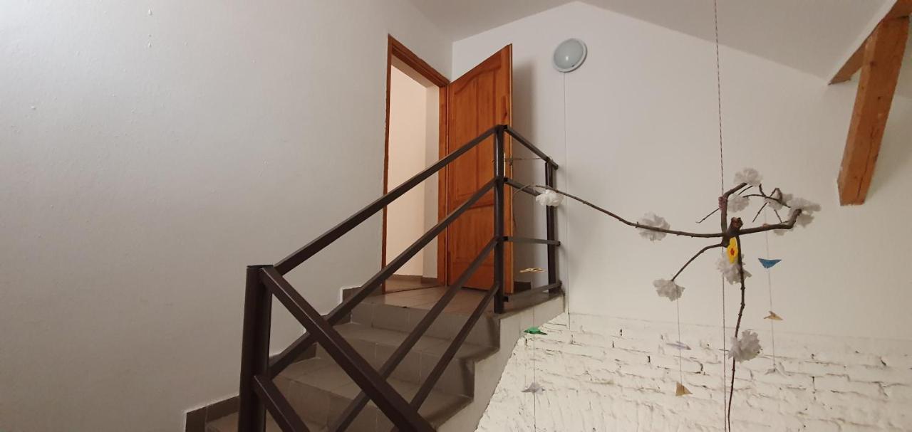 Romzsa Todor Kollegium Hostel Szeged Ngoại thất bức ảnh