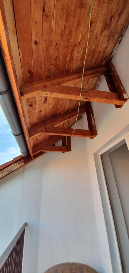 Romzsa Todor Kollegium Hostel Szeged Ngoại thất bức ảnh