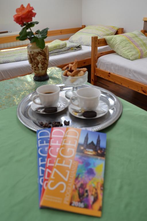 Romzsa Todor Kollegium Hostel Szeged Ngoại thất bức ảnh